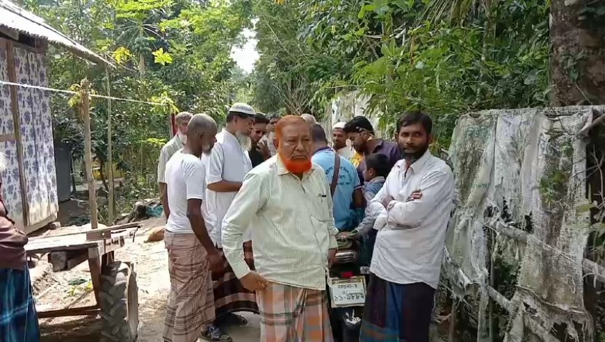 বরগুনায় কুকুর আতঙ্কে স্কুলে যেতে পারছে না শিশুরা