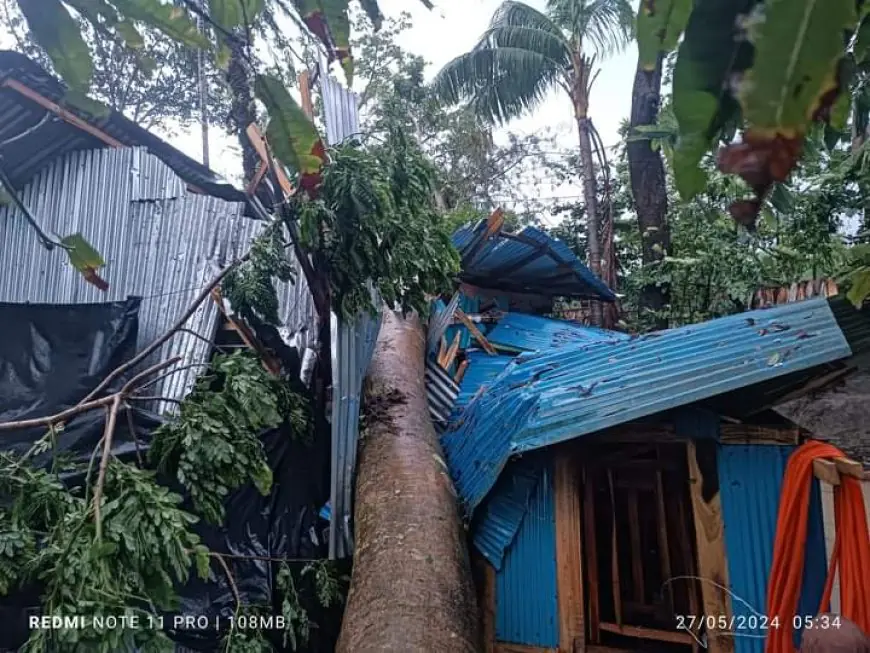 ঘূর্ণিঝড় রেমালের আঘাতে বরগুনায় বিপর্যয়: ঘরবাড়ি বিধ্বস্ত, জনজীবনে দুর্ভোগ