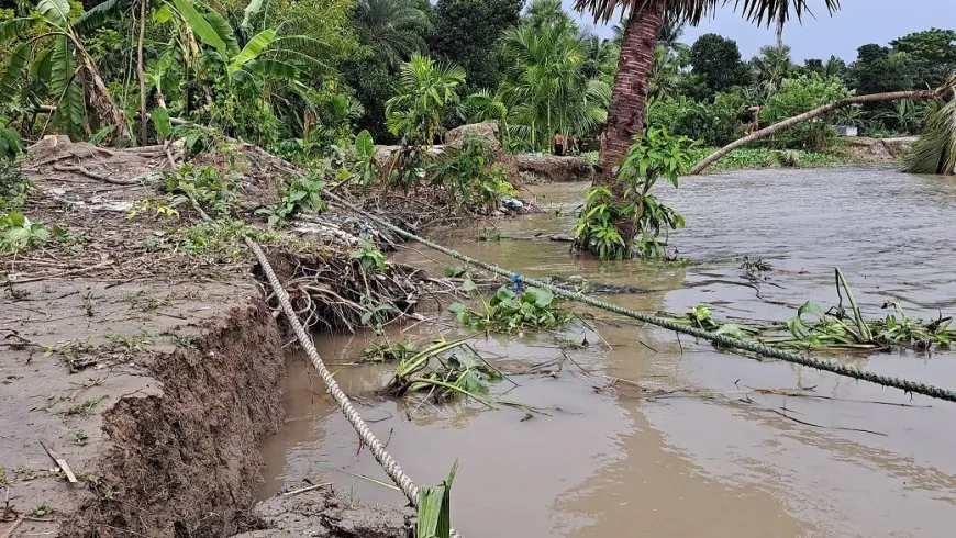 নড়াইলে ভাঙছে নবগঙ্গা নদী, আতংকে এলাকাবাসী