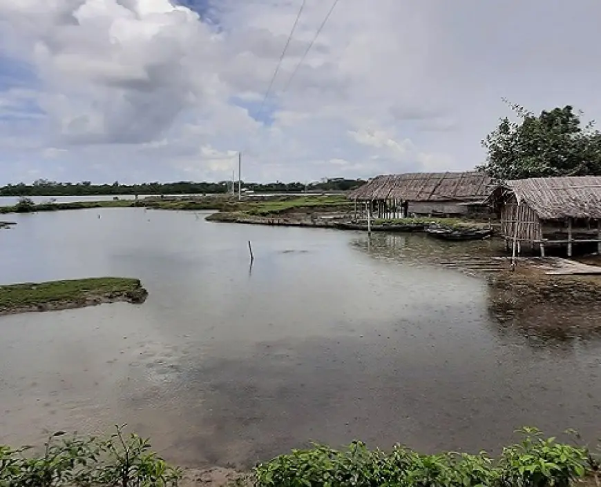 কয়রা উপজেলা যুবদলের সভাপতির বিরুদ্ধে ঘের দখলের অভিযোগে মামলা