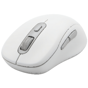 আবুল বাশার